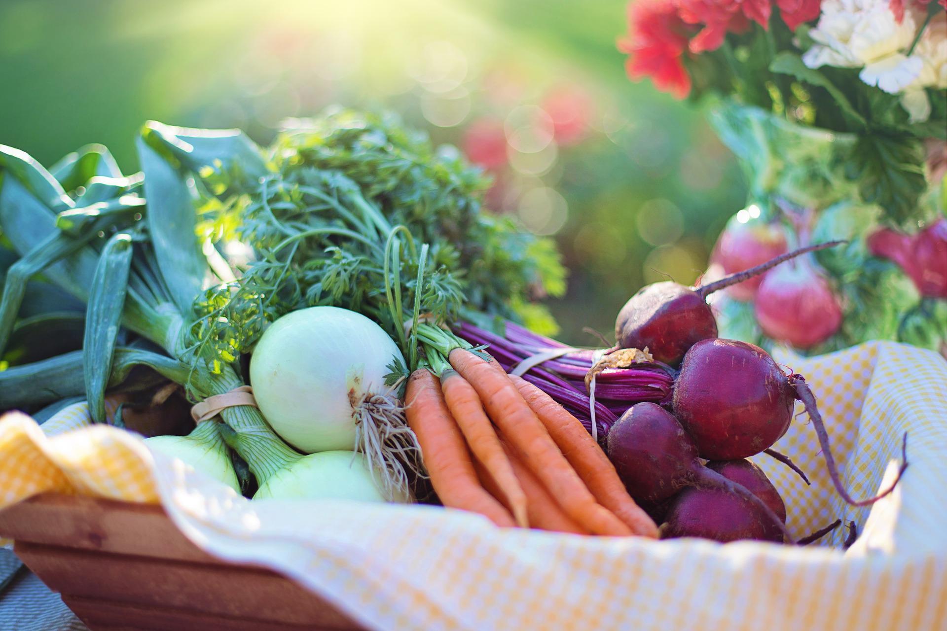 Finding Sources of Fresh Food - coreysdigs.com