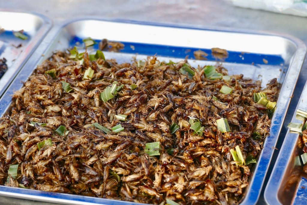 crickets-1024x683.jpg